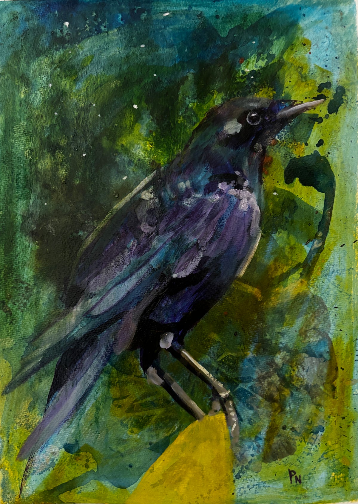 Tiger Mountain Crow - Framed 11 x 14 " original