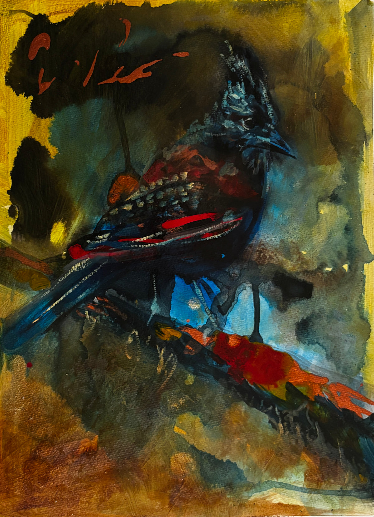 Tiger Mountain Blue Jay - Framed 11 x 14" original piece