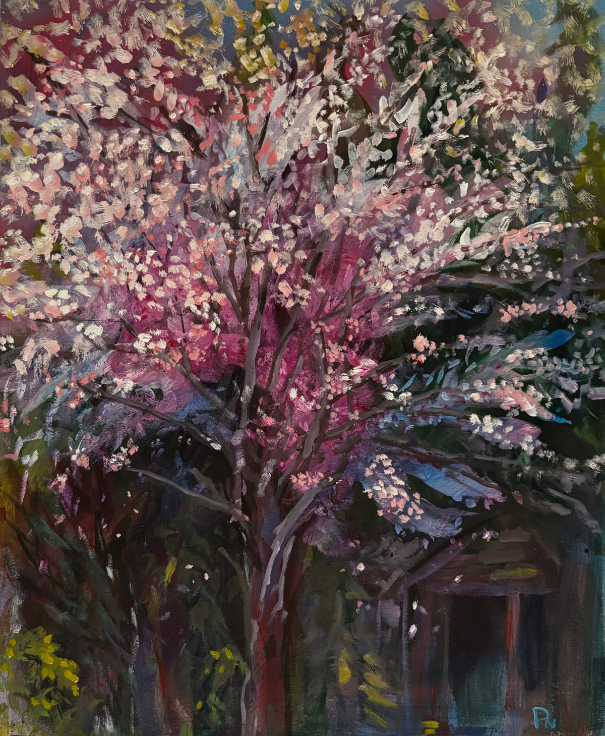 Sakura in Issaquah - Framed 19 x 25" original piece